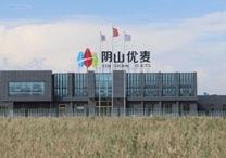 權(quán)威！陰山優(yōu)麥被認(rèn)證為“中國(guó)有機(jī)燕麥第 一品牌”